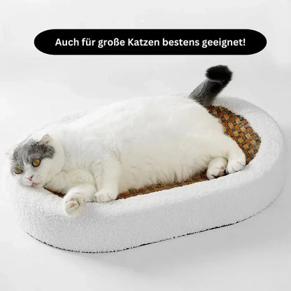 ComfyCat™ Verwen je kat met de perfecte rust!